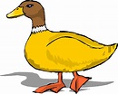 Free duck clipart clip art pictures graphics illustrations image ...