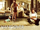 The Hangover Movie Wallpapers | HD Wallpapers | ID #918