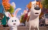 When Will 'The Secret Life of Pets' Be On Netflix? Here's What To Watch ...