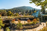 Ausflugsziele in Badenweiler u. Umgebung › Villa Hedwig