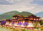 Best Time to Visit Punakha - Month, Season - Bhutan Tourism