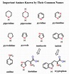 Naming Amines: Systematic and Common Nomenclature - Chemistry Steps