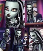 Monster High 13 Wishes "Shadow Frankie" reference | Monster high ...