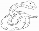 A Green Anaconda Coloring Page - Free Printable Coloring Pages for Kids