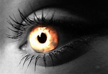 Fire Eye Free Photo Download | FreeImages