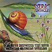 Bits Between The Bits, The/Sliding Gliding Worlds, Ozric Tentacles | CD ...