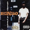 Big Noyd - Episodes Of A Hustla: CD | Rap Music Guide