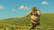Shrek, Girassóis, Campo de girassóis