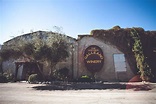 OUR HISTORY | Galleano Winery