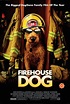 Firehouse Dog (2007) - IMDb