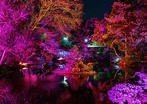 Japanese Gardens of the Fort Worth Botanic Gardens Illuminated by ...