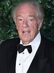 Michael Gambon - AlloCiné