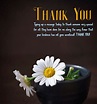 147 Best Thank You Messages Wishes – Be Thankful Appreciation Quotes ...