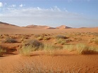 File:Sahara.jpg - Wikimedia Commons