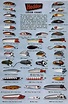 Great Fishing Lure Types Chart in 2023 Unlock more insights!