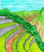 Terrazas de cultivos incas en 2022 | Inca, Terrazas, Civilización