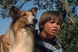 The Magic of Lassie (1978) :: starring: Michael Sharrett