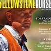Yellowstone Horse