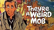 They're a Weird Mob (Movie, 1966) - MovieMeter.com