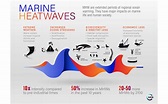 Marine Heatwaves: a serious threat to marine biodiversity and ...