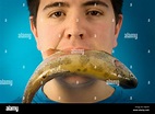 Young man eating a fish literally. Many medical studies about the ...