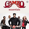 Maxazine präsentiert: Cameo Essentials (kuratiert von Nathan Leftenant ...
