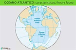 Océano Atlántico: características, flora y fauna - Resumen