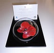 Tower Of London Poppy Display Case - Unique Domed Design - Counter Top