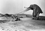 Joseph Beuys: Coyote | PDN Photo of the Day