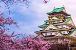 Los TOP 25 lugares turísticos de Japón para visitar - Tips Para Tu ...