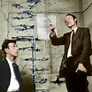 Watson and Crick with their DNA model – Bild kaufen – 12491626 Science ...
