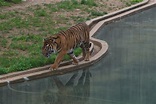 Check out the Smithsonian National Zoological Park in Washington D.C ...