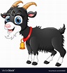 Cute black goat cartoon Royalty Free Vector Image | Goat cartoon, Cute ...