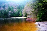 Visita Parque provincial Alice Lake en Columbia Británica | Expedia.mx
