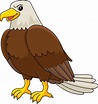 Eagle Animal Cartoon Colored Clipart Illustration 20119249 Vector Art ...