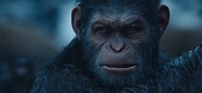 ‘Kingdom of the Planet of the Apes’ Unveils Cast and 2024 Release Date ...