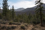 San Bernardino National Forest, California - Recreation.gov