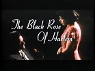 The Black Rose Of Harlem 1996 - Trailer - YouTube
