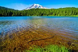 A Guide To Washington National Parks | Grounded Life Travel