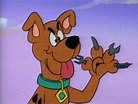 Scooby-Doo (A Pup Named Scooby-Doo) | Scoobypedia | Fandom