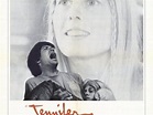 I maledetti figli dei fiori (Film 1971): trama, cast, foto - Movieplayer.it