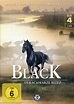 Black, der schwarze Blitz: DVD oder Blu-ray leihen - VIDEOBUSTER.de