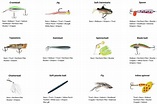 Fishing Lures Types Chart | Sportsman's Warehouse