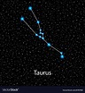 Taurus zodiac sign bright stars Royalty Free Vector Image