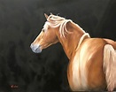 Original equine art horse oil painting Halflinger Palomino Lights 22x28