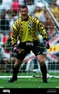 TIM FLOWERS ENGLAND & SOUTHAMPTON FC 29 June 1993 Stock Photo - Alamy