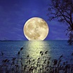 Las Más Inspiradoras Imágenes De La Luna Llena... | Diseño y Fotografía