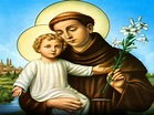 Holy Mass images...: Saint Anthony of Padua / Padova