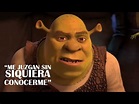 Shrek - Me Juzgan Sin SIquiera Conocerme - YouTube