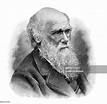 Ilustración Del Retrato De Charles Darwin Ilustración de stock - Getty ...